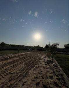 Nandoli Plot View 2