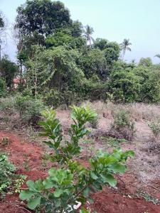 Image of 2350 Sq.ft Residential Plot / Land for sale in Loutolim, Goa for Rs. 47000000