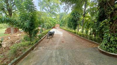 Asola Plot View 2