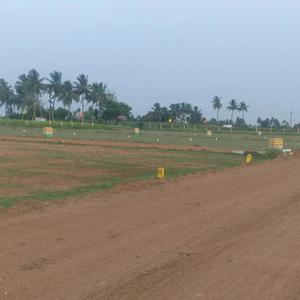 Residential Plot
