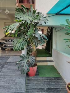Balcony Image of 4500 Sq.ft 8 BHK Independent House for sale in Ravet Pune for Rs. 40000000
