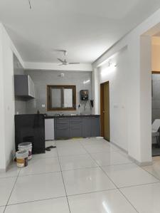Kitchen Image of 1650 Sq.ft 3 BHK Apartment / Flat for rent in Alkapuri Vadodara for Rs. 33000