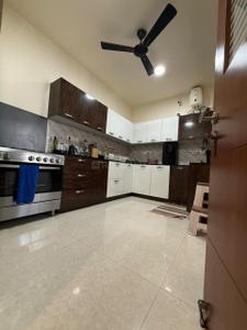 Kitchen Image of 1695 Sq.ft 3 BHK Apartment / Flat for rent in Skyline Mansion, Elamkulam Kochi for Rs. 47000