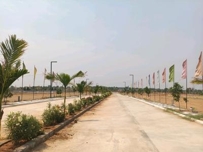 Century Nature City Internal Roads 1