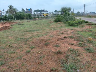 4th Stage More Images 2