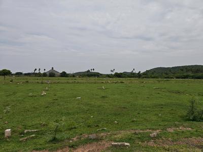 Image of 900 Sq.ft Residential Plot / Land for sale in Paranur, Chennai for Rs. 1349100