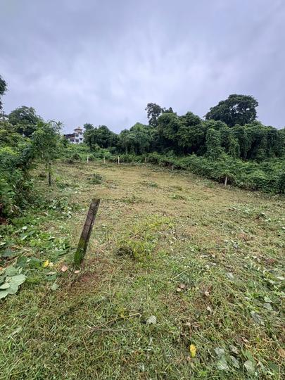 Carambolim Main Image 1