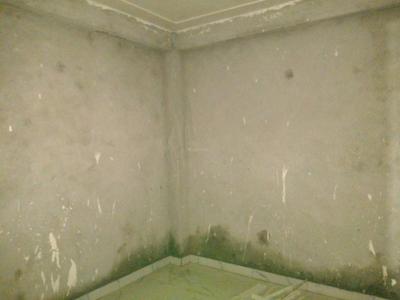 Bedroom Image of 450 Sq.ft 2 BHK Builder Floor for sale in Mayur Vihar Phase 1 New Delhi for Rs. 4000000