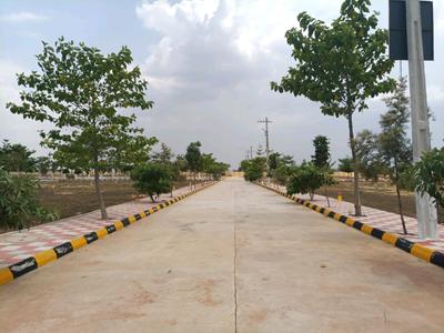 Residential Plot