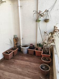 Balcony Image of 850 Sq.ft 2 BHK Apartment / Flat for rent in Ashtavinayak City, Fursungi Pune for Rs. 22500