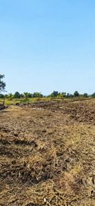 Image of 1089 Sq.ft Residential Plot / Land for sale in Borgaon, Raigad for Rs. 390000