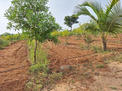 Image of 600 Sq.ft Residential Plot / Land for sale in Narayankhed, Sangareddy for Rs. 600000