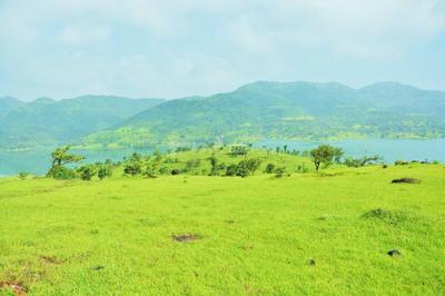 Image of 80000 Sq.ft Residential Plot / Land for sale in Panshet, Pune for Rs. 16000000