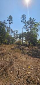 Mapusa Plot View 3