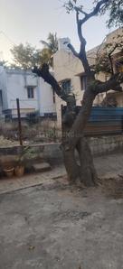 8th Phase Plot View 3