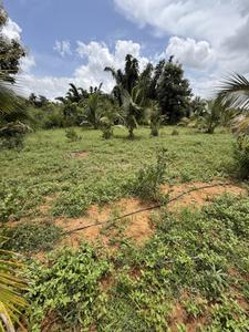 Image of 1089 Sq.ft Residential Plot / Land for sale in Pen, Raigad for Rs. 300000