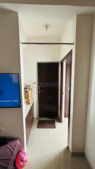 Swetalee Sepal Elegant 2 Main Image 1