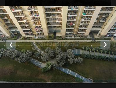 Balcony Image of 1578 Sq.ft 3 BHK Apartment / Flat for sale in Tulip Violet, Sector 69 Gurgaon for Rs. 23500000