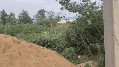Image of 435 Sq.ft Residential Plot / Land for sale in Namkum, Ranchi for Rs. 1400000