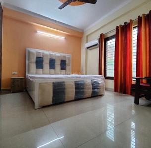 Bedroom Image of 750 Sq.ft 2 BHK Builder Floor for rent in Vipul World, Sector 48 Gurgaon for Rs. 40000