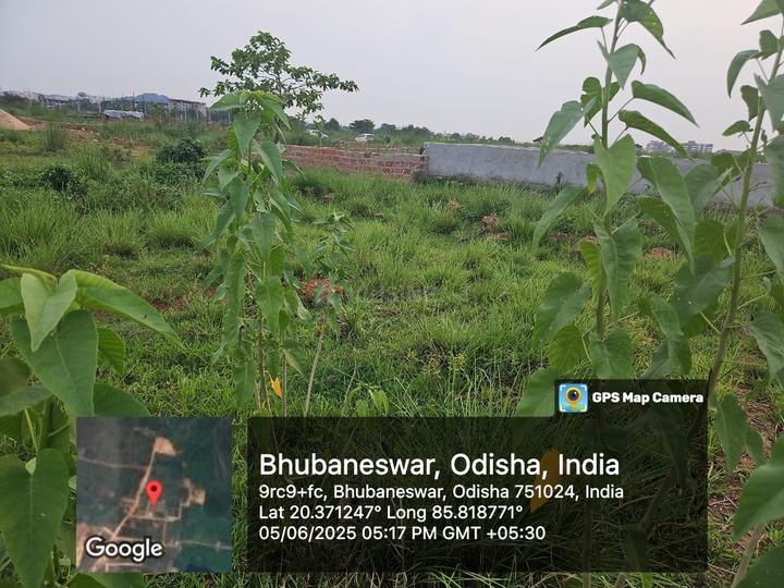 K I I T University, Patia Main Image 1