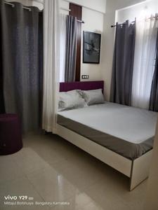 Bedroom Image of Colive 1246 Barnet  in Whitefield, Bangalore