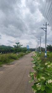 Residential Plot