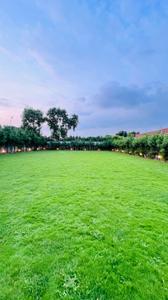 Image of 13500 Sq.ft 1 BHK Farm House for sale in Badusarai, New Delhi for Rs. 70000000