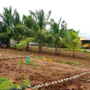 Residential Plot
