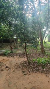 Chandaka Plot View 1