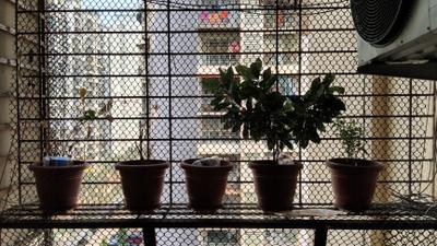 Image of 1250 Sq.ft 2 BHK Apartment / Flat for sale in Aryan Land Breeze, Kharghar, Navi Mumbai for Rs. 13800000