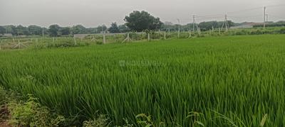 Image of 4840 Sq.ft Residential Plot / Land for sale in Chilkur, Hyderabad for Rs. 45000000