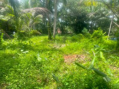 Image of 3920 Sq.ft Residential Plot / Land for sale in Ulliyeri, Kozhikode for Rs. 1200000