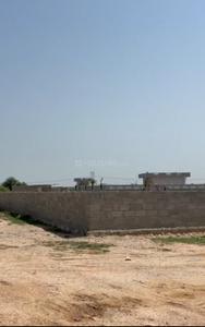 Shree vinayak vihar mehla Plot View 1