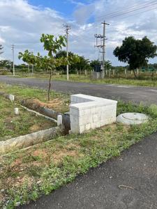 Residential Plot
