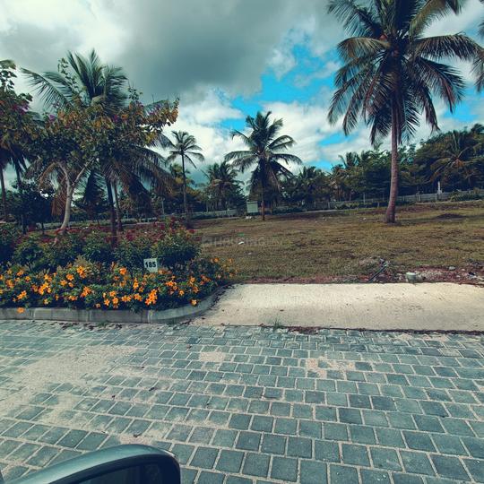 Vyasti Evantha Hasiru Main Image 1