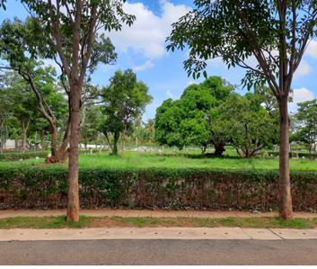 Residential Plot