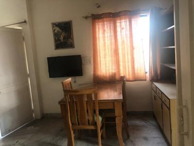 Hall Image of 1000 Sq.ft 3 BHK Builder Floor for sale in Gautam Nagar New Delhi for Rs. 17000000