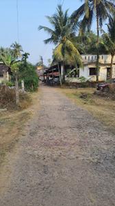Salaiwada Plot View 2