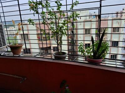Balcony Image of 925 Sq.ft 2 BHK Apartment / Flat for rent in Bamunara Durgapur for Rs. 16000