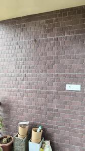 Bedroom Image of 750 Sq.ft 2 BHK Apartment / Flat for sale in Shree Radhe Shyam, Sevasi Vadodara for Rs. 5600000