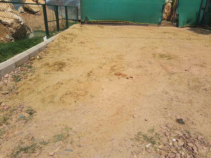 Orris Anandam Ora Main Image 1