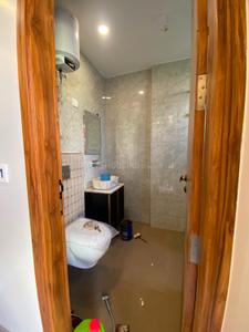 Image of 825 Sq.ft 2 BHK Builder Floor for rent in Janakpuri, New Delhi for Rs. 42000