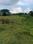 Balianta Plot View 2