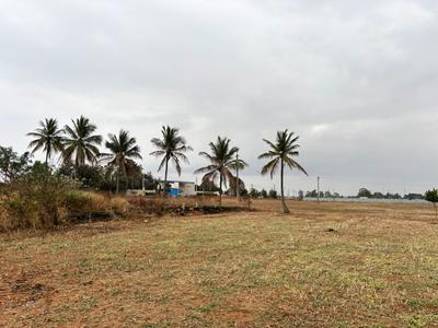 Doddathoguru Plot View 2