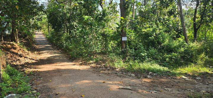 Chathannoor Main Image 1