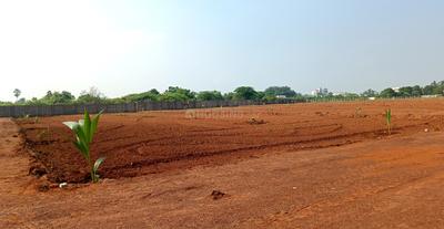 Image of 9089 Sq.ft Residential Plot / Land for sale in Anakapalle, Visakhapatnam for Rs. 2400000