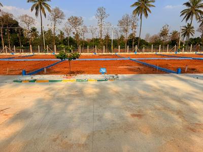 kaiwara plots Plot View 3