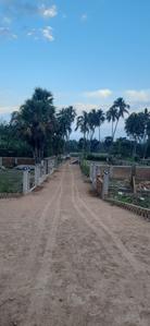 Burul Plot View 2