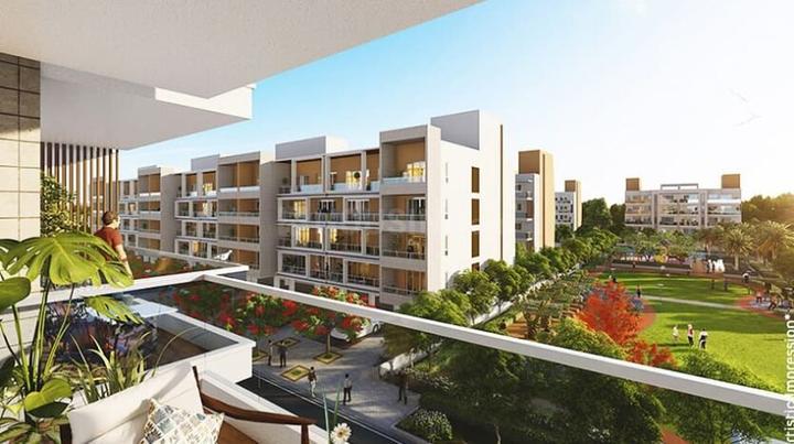 NM Developer Main Image 1